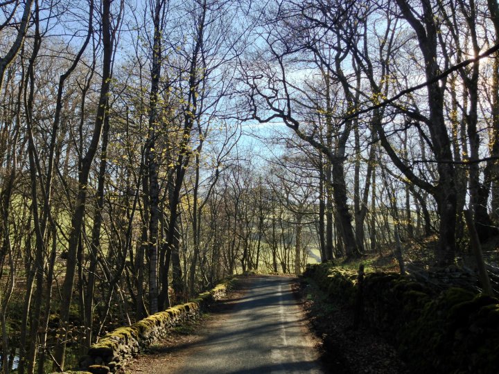 Pen-y-ghent / Plover Hill