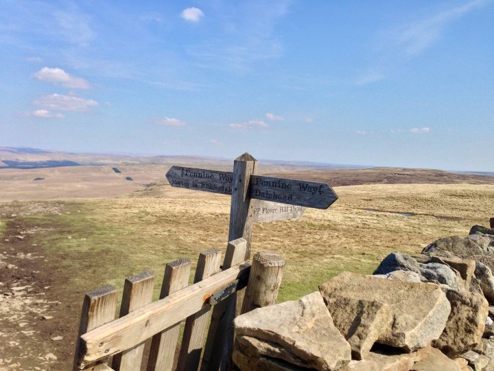 Pen-y-ghent / Plover Hill