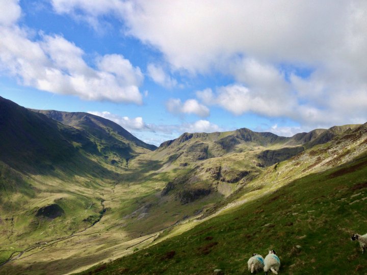 Striding Edge / Helvellyn / Catstye Cam