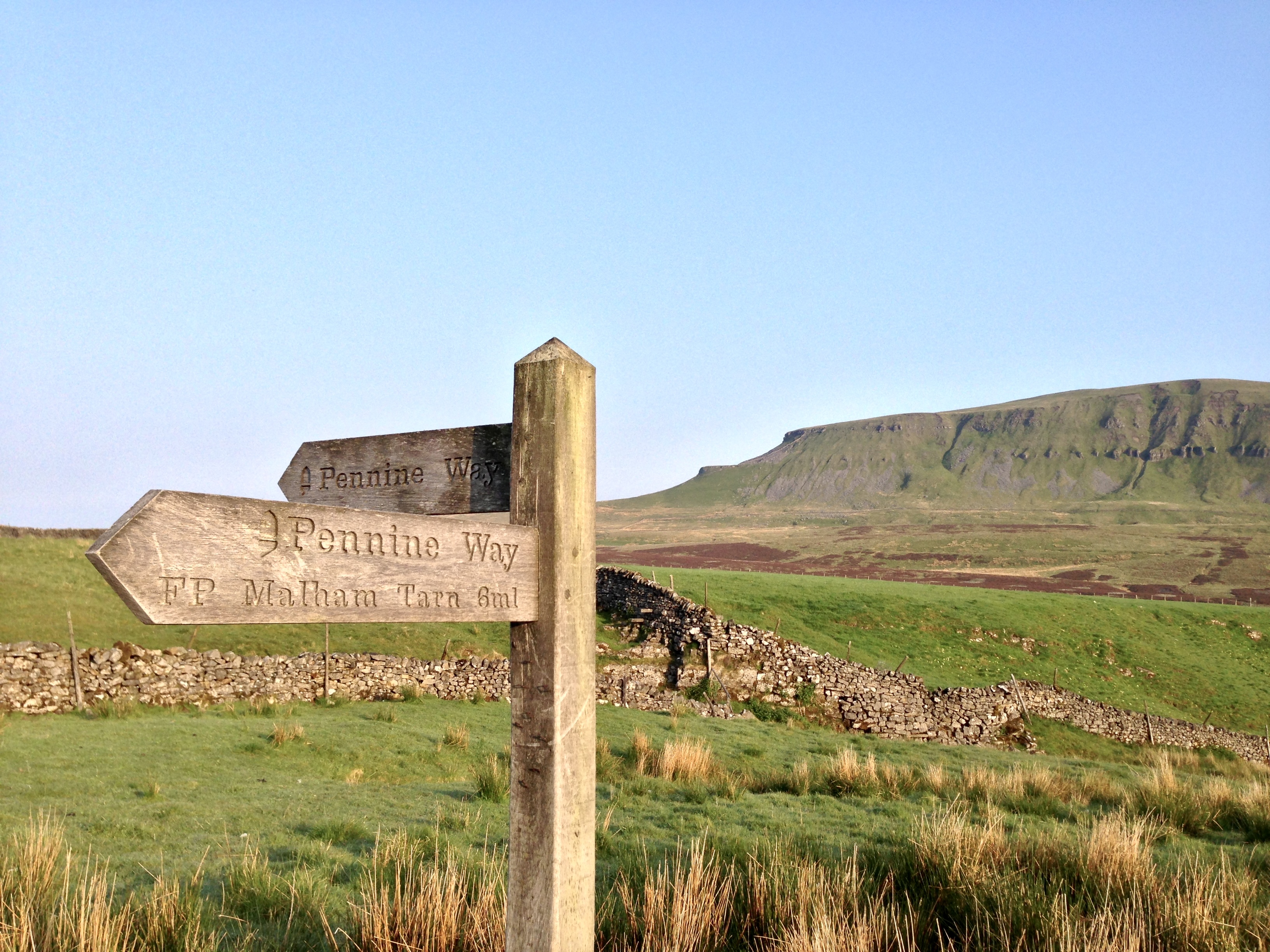 Fountains Fell / Darnbrook Fell