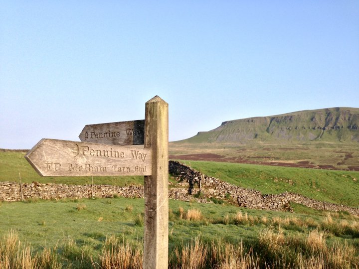 Fountains Fell / Darnbrook Fell
