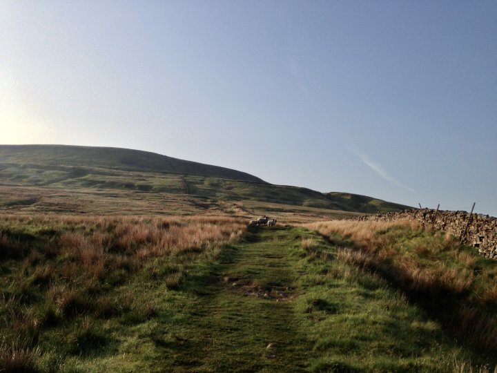 Fountains Fell / Darnbrook Fell