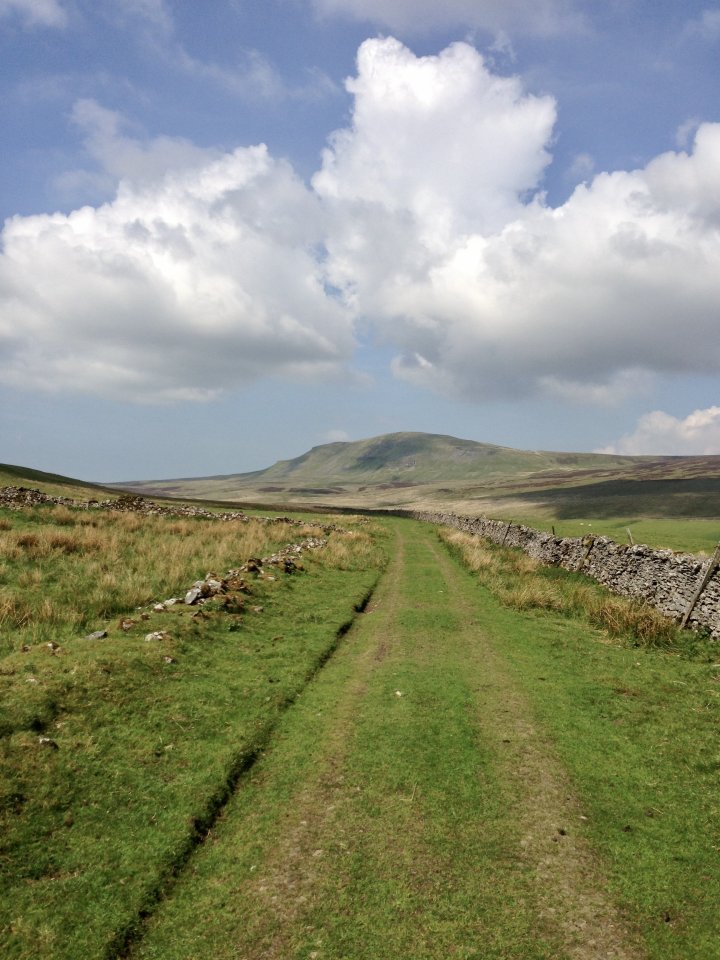 Fountains Fell / Darnbrook Fell