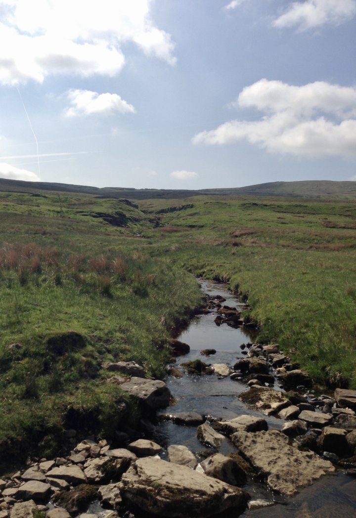 Fountains Fell / Darnbrook Fell
