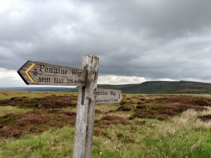 Bleaklow Head