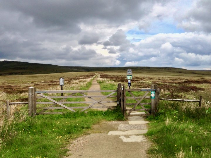 Bleaklow Head