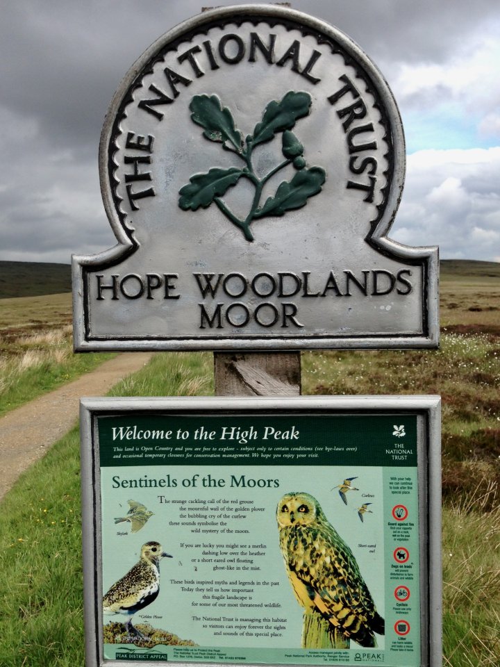 Bleaklow Head