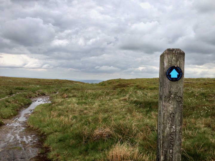 Bleaklow Head