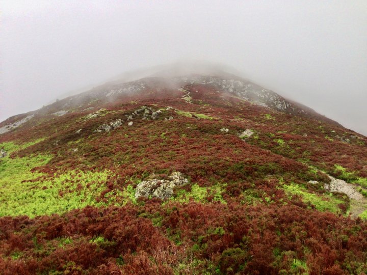 Carl Side / Long Side / Skiddaw / Skiddaw Little Man / Lonscale Fell