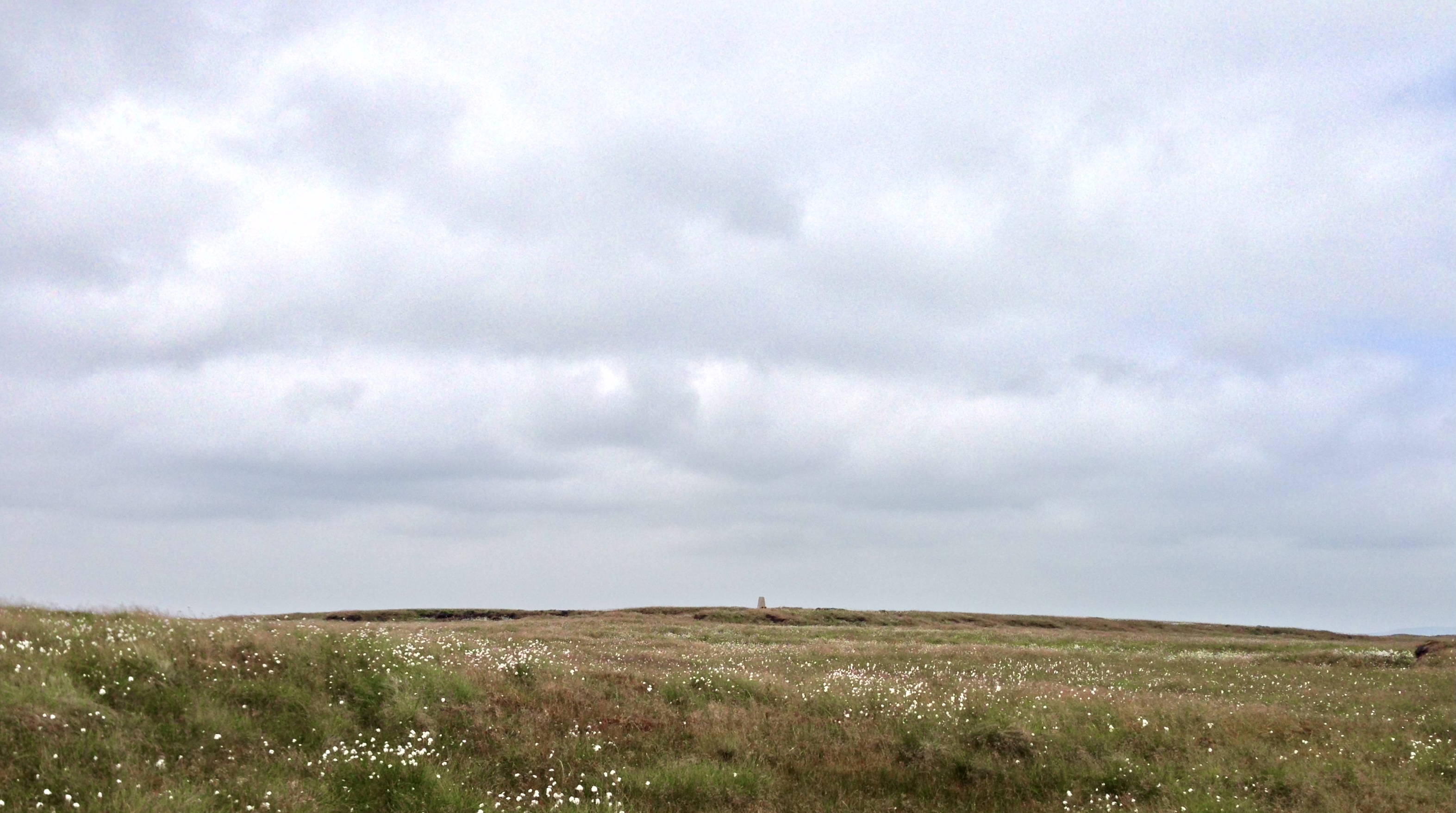 Drumaldrace / Dodd Fell Hill