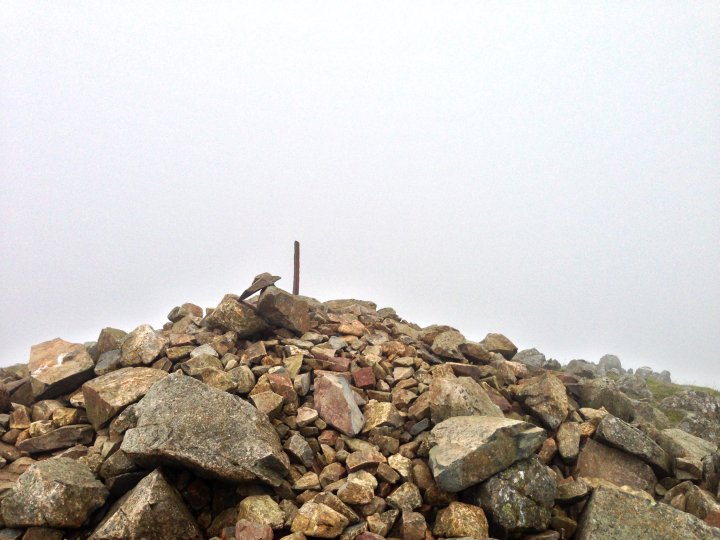 Great Gable / Green Gable / Base Brown / Brandreth