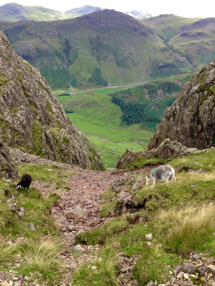 Sergeant Man / Ullscarf / High Raise / Harrison Stickle / Pike of Stickle