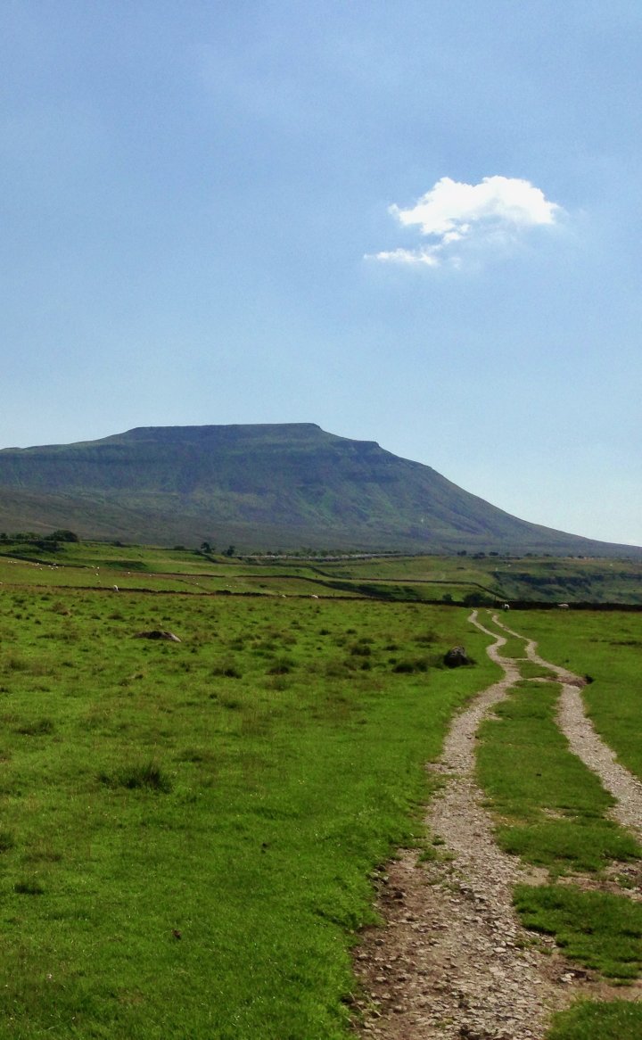 Ingleborough / Simon Fell