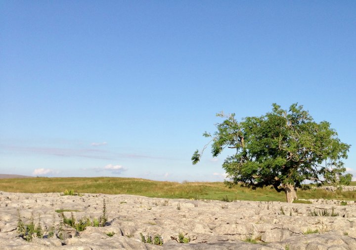 Ingleborough / Simon Fell