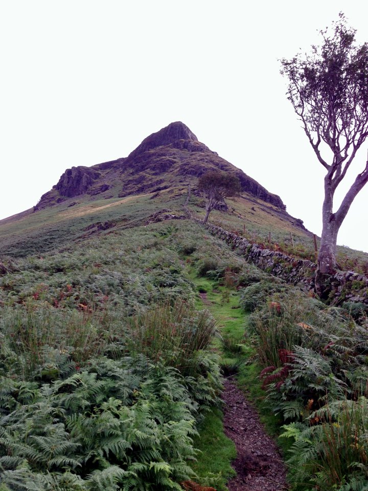 Yewbarrow North Top / Yewbarrow