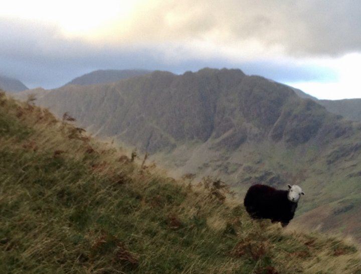 Robinson / Hindscarth / Dale Head / High Spy / Fleetwith Pike