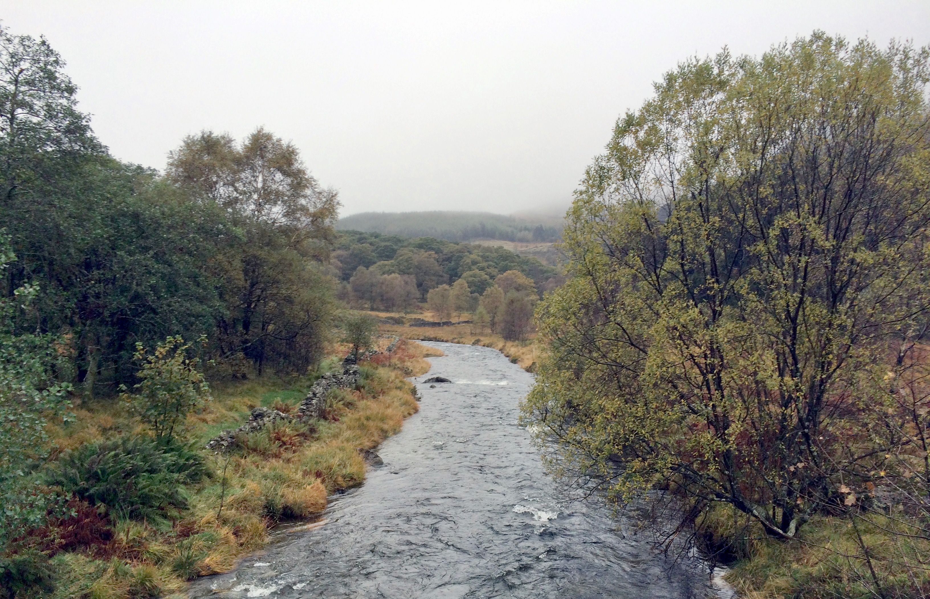 Harter Fell (Eskdale)