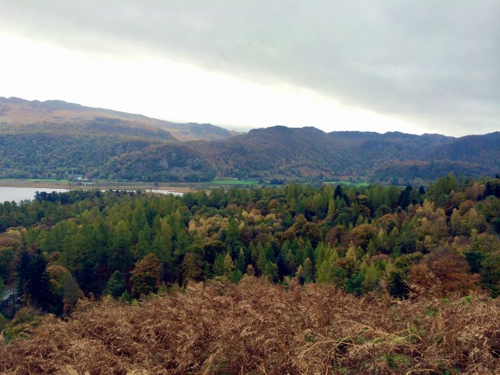 Cat Bells / Maiden Moor