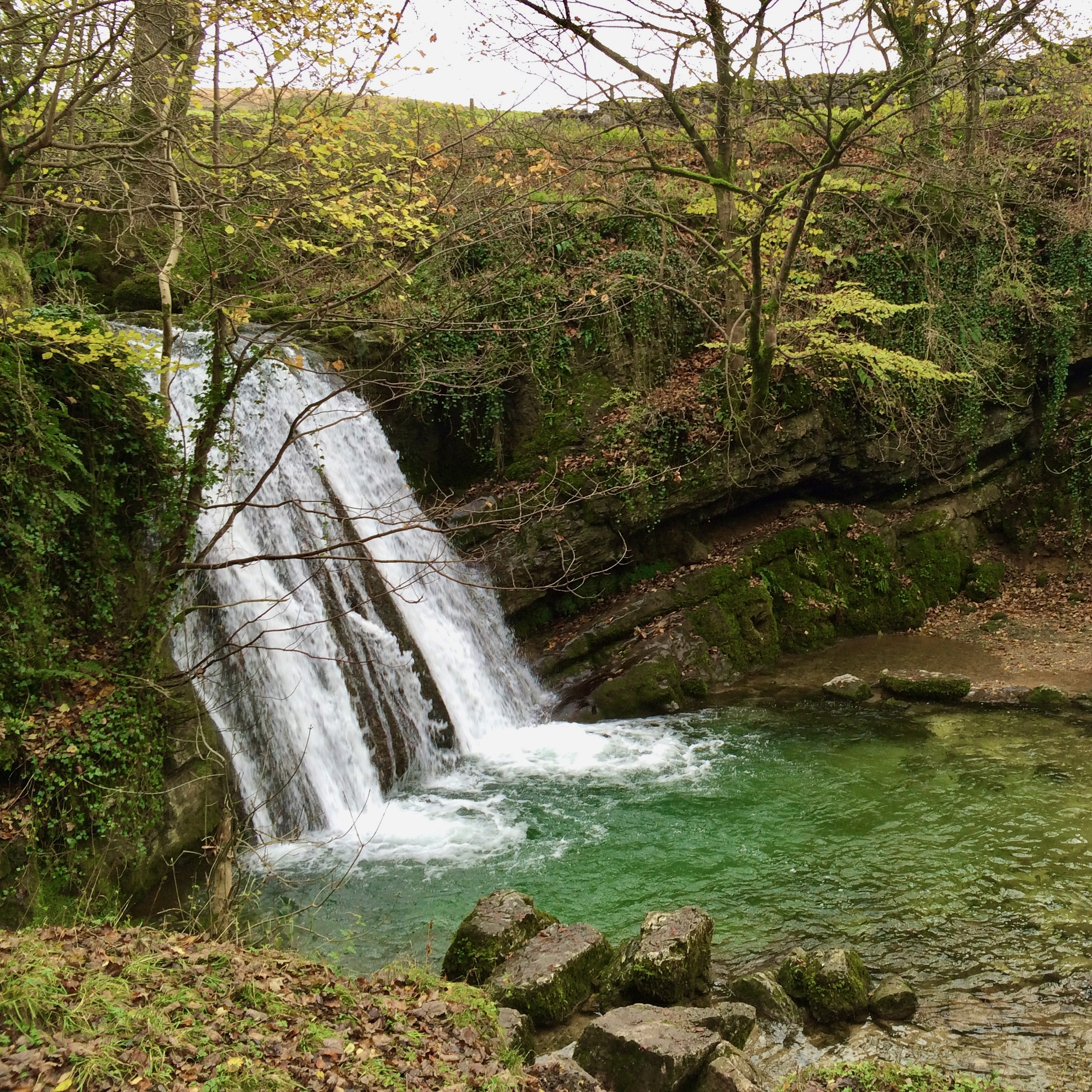 Janet's Foss / Gordale Scar / Malham Cove