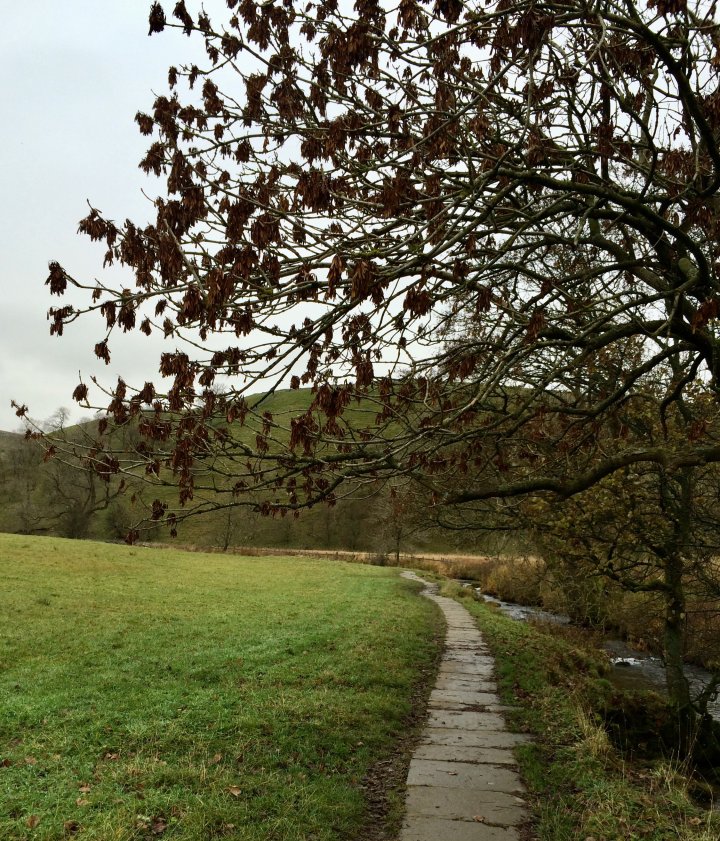 Janet's Foss / Gordale Scar / Malham Cove