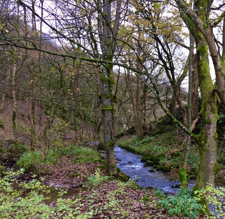 Janet's Foss / Gordale Scar / Malham Cove