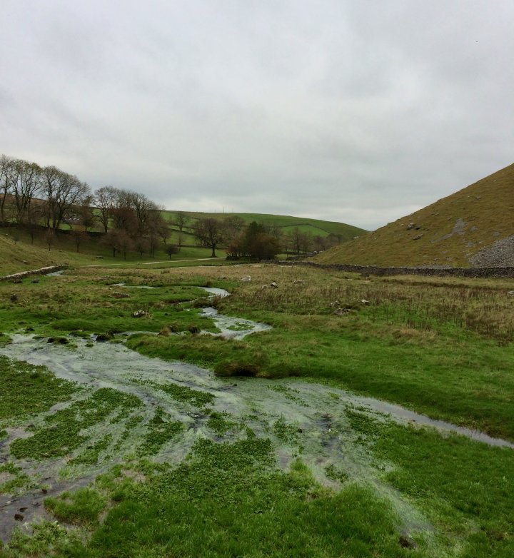 Janet's Foss / Gordale Scar / Malham Cove