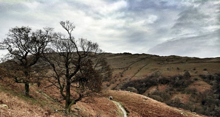 Nab Scar / Heron Pike (Rydal) / Heron Pike North Top / Stone Arthur / Great Rigg / Fairfield / Hart Crag / Dove Crag / High Pike (Scandale) / Low Pike