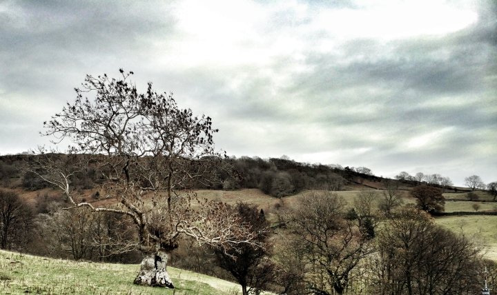 Nab Scar / Heron Pike (Rydal) / Heron Pike North Top / Stone Arthur / Great Rigg / Fairfield / Hart Crag / Dove Crag / High Pike (Scandale) / Low Pike