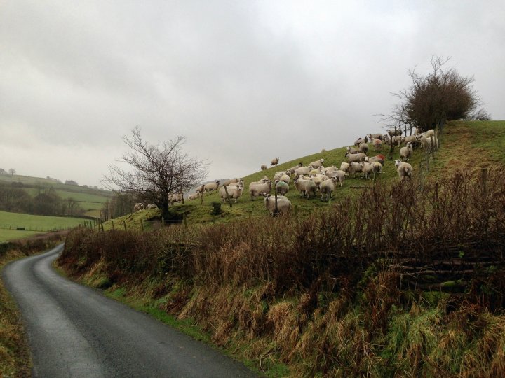 Calders / The Calf / Fell Head