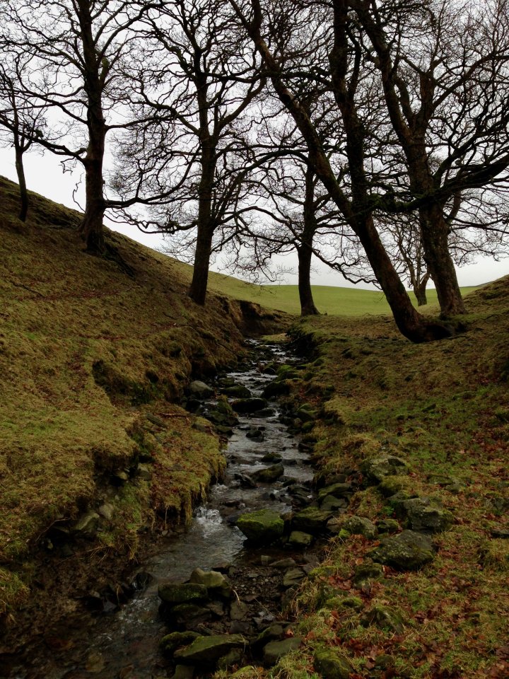 Calders / The Calf / Fell Head
