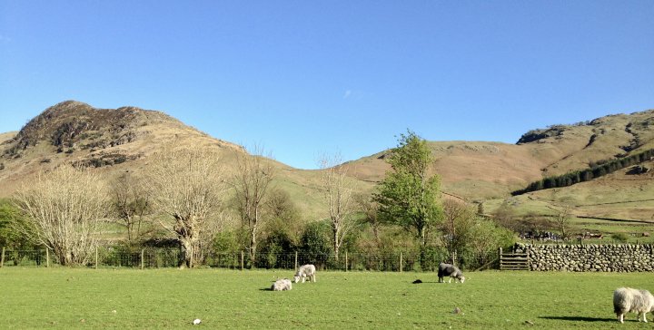 Pike of Blisco / Cold Pike / Crinkle Crags (South Top) / Crinkle Crags (Long Top) / Shelter Crags