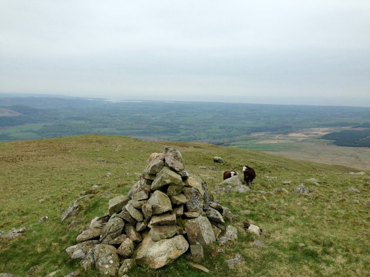 Middle Fell / Seatallan / Buckbarrow
