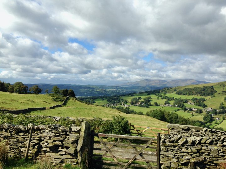 Sour Howes / Sallows