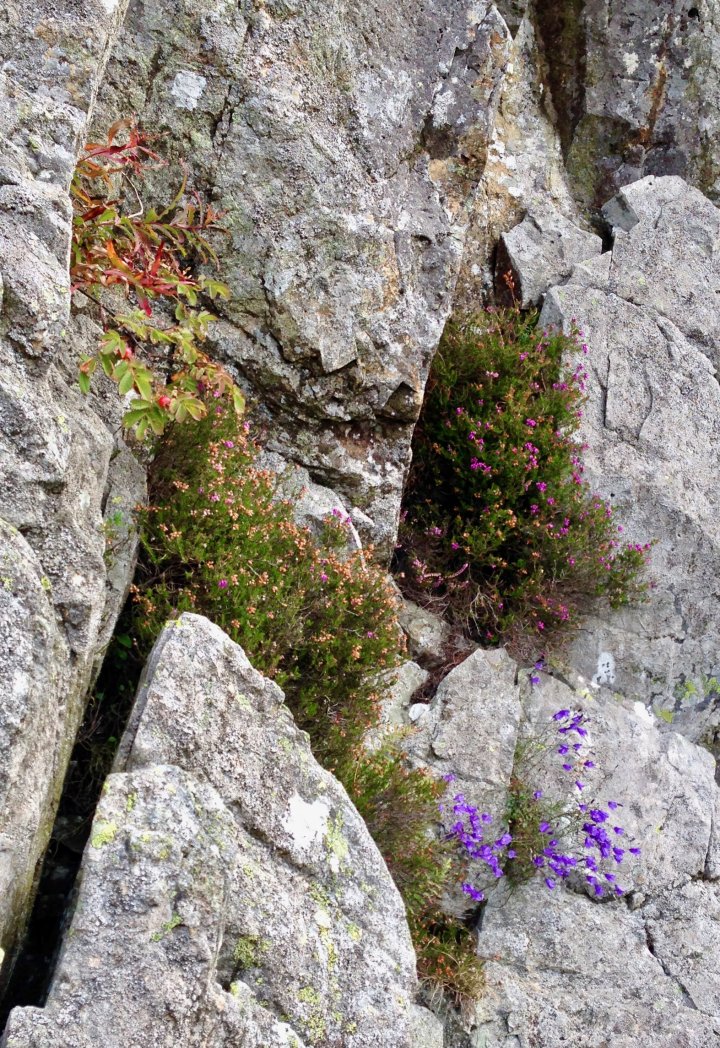 Jack's Rake / Pavey Ark / Thunacar Knott / Loft Crag