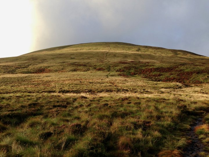 Hedgehope Hill / Comb Fell / The Cheviot