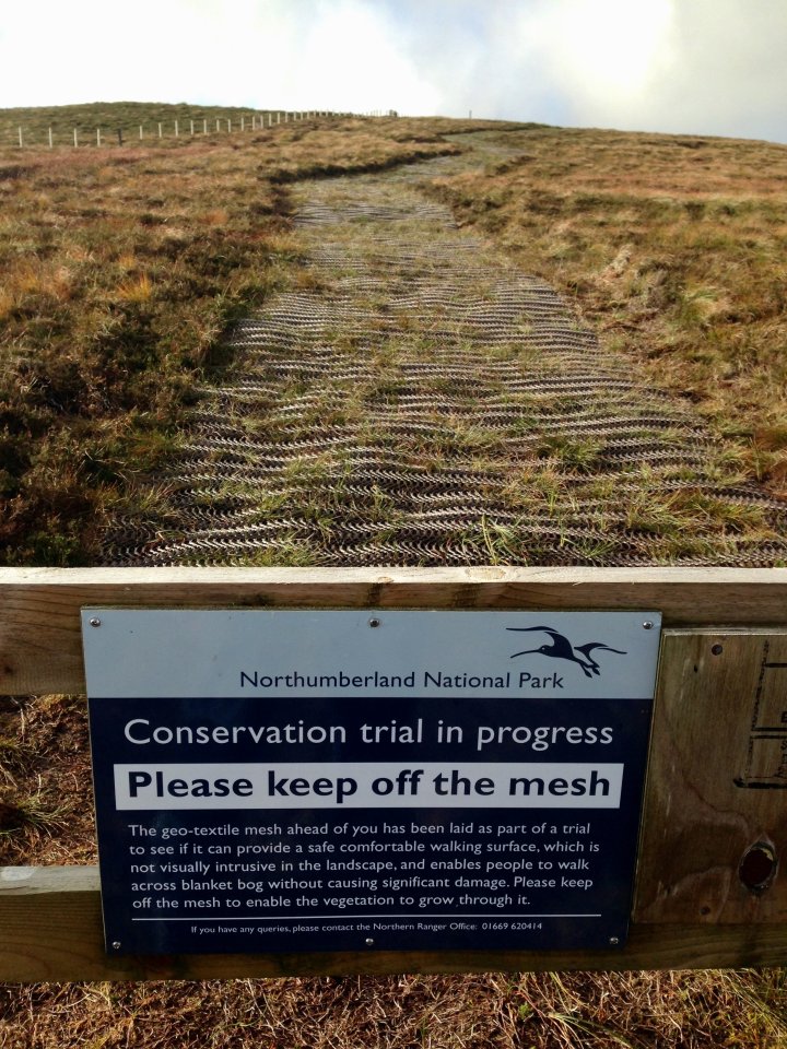 Hedgehope Hill / Comb Fell / The Cheviot