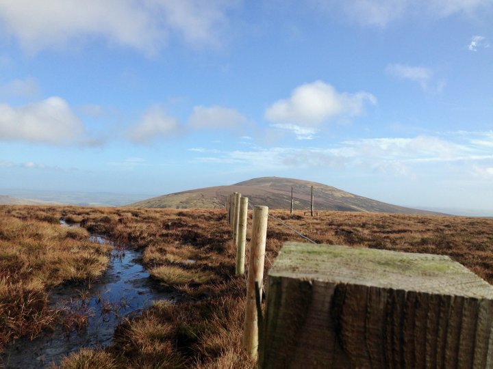 Hedgehope Hill / Comb Fell / The Cheviot