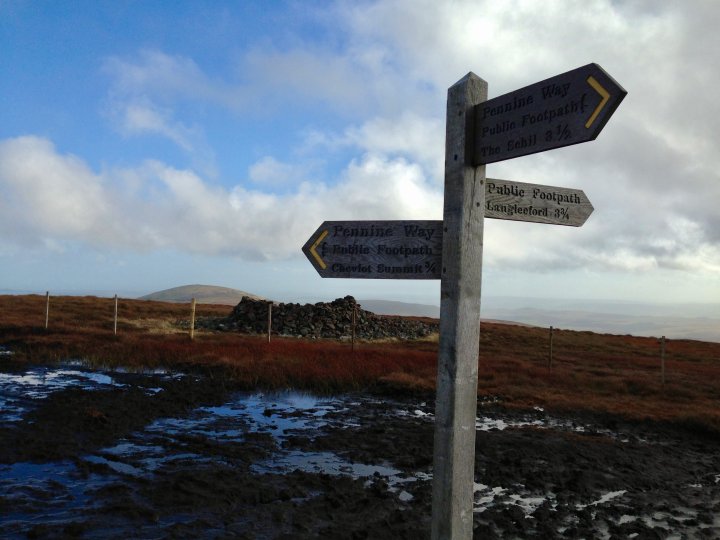 Hedgehope Hill / Comb Fell / The Cheviot