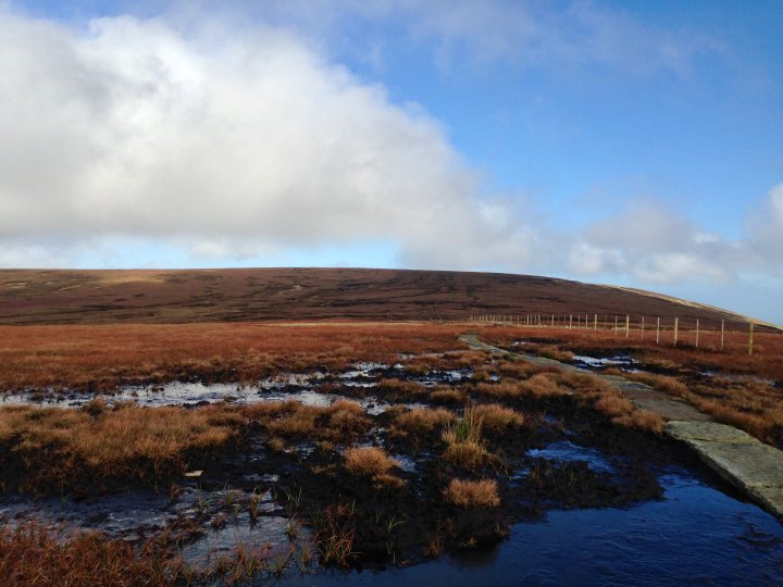 Hedgehope Hill / Comb Fell / The Cheviot