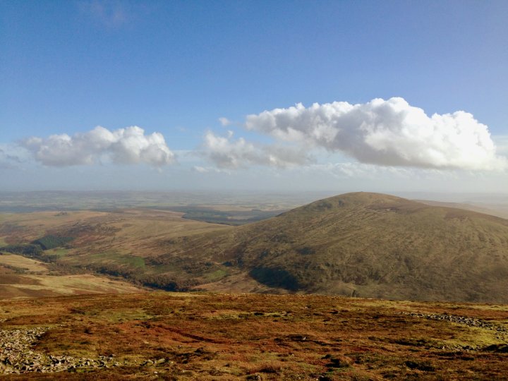 Hedgehope Hill / Comb Fell / The Cheviot
