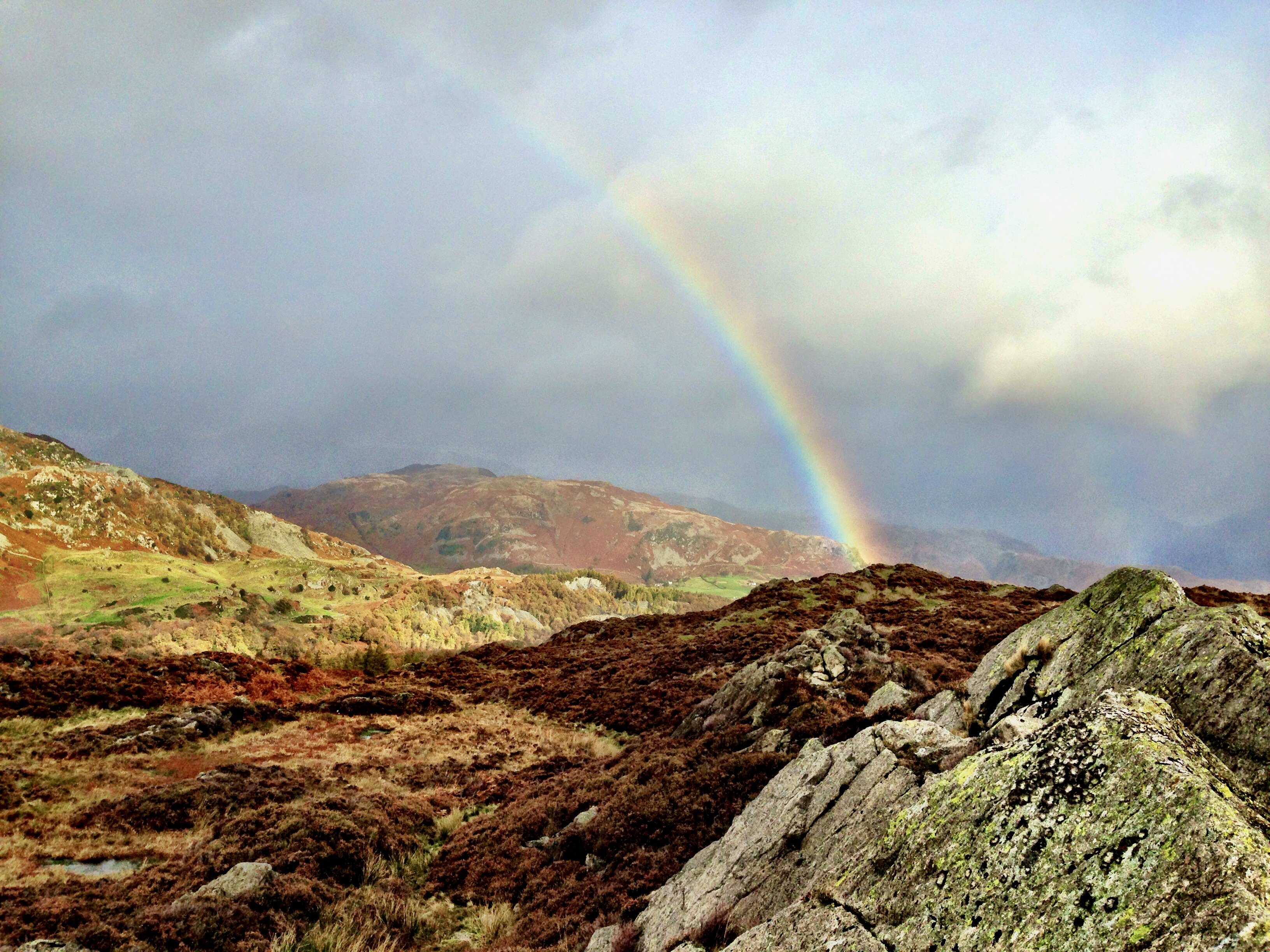 Holme Fell / Black Fell (Lake District)