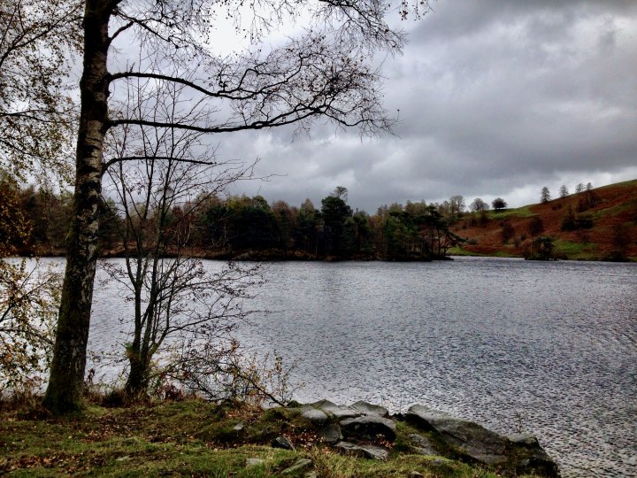 Holme Fell / Black Fell (Lake District)