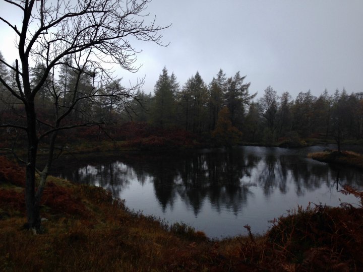 Holme Fell