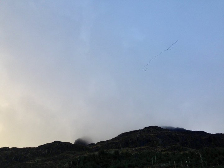 Pillar / Black Crag / Scoat Fell / Steeple