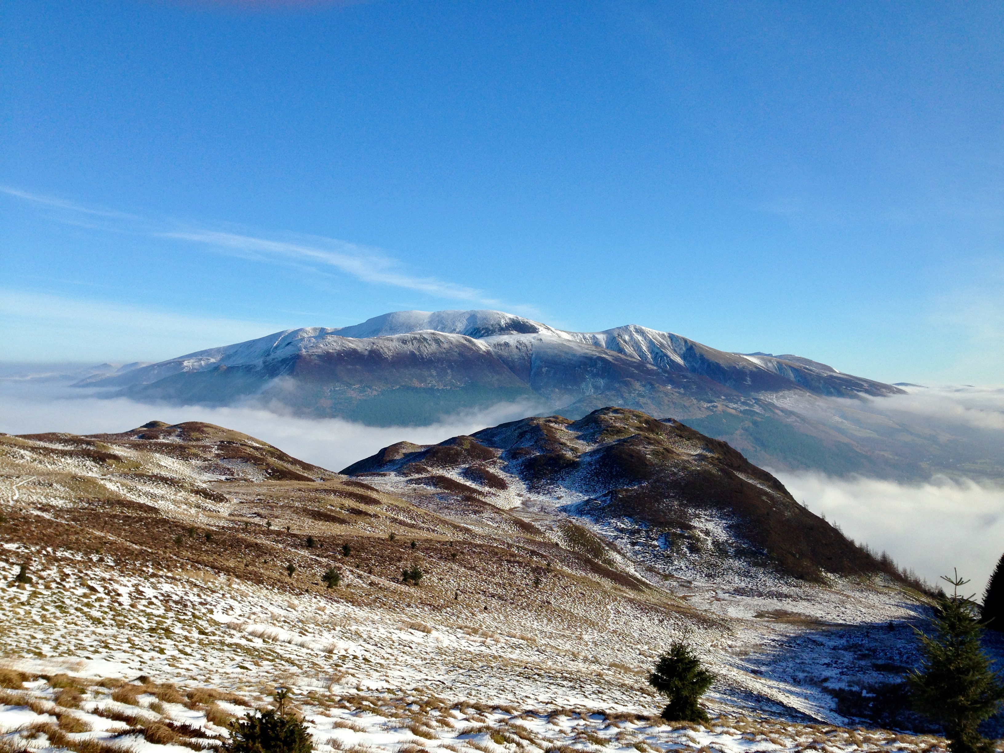 Whinlatter / Barf / Lord's Seat / Broom Fell / Graystones