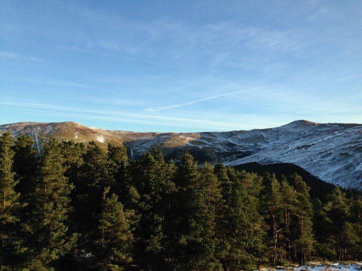 Whinlatter / Barf / Lord's Seat / Broom Fell / Graystones