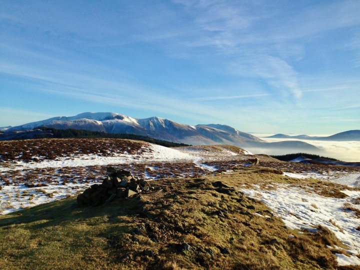 Whinlatter / Barf / Lord's Seat / Broom Fell / Graystones