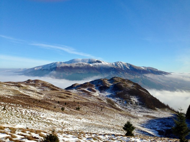 Whinlatter / Barf / Lord's Seat / Broom Fell / Graystones