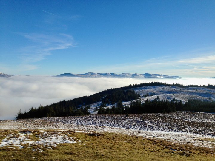 Whinlatter / Barf / Lord's Seat / Broom Fell / Graystones