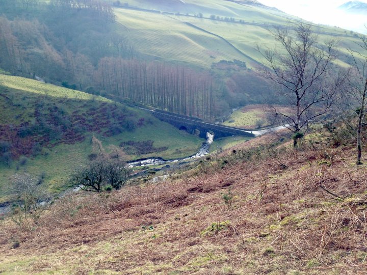 Whinlatter / Barf / Lord's Seat / Broom Fell / Graystones